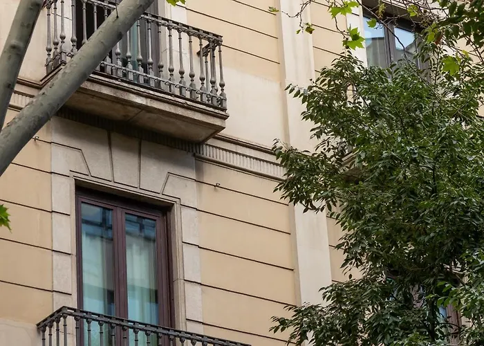 Colectia Pau Claris Barcelona