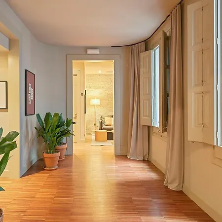 Guest house Uma Pau Claris Barcelona